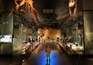 【上野・博物館】恐竜が見たい！家族で国立科学博物館へ行ってきました。