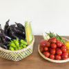 【夏野菜／収穫】８月・トマト、ナス、オクラ、カボチャの様子