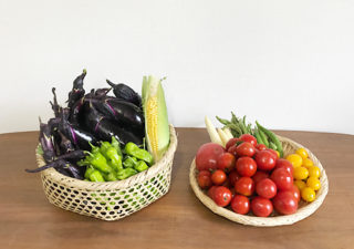 【夏野菜／収穫】８月・トマト、ナス、オクラ、カボチャの様子