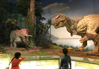 【関東・ミュージアム】動く恐竜が見たい！家族で茨城県自然博物館へ行ってきました