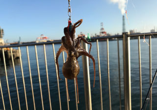 【釣り／鹿島】９月・台風後に釣りに行ったら思わぬ獲物が！