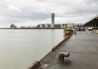 【釣り／銚子】１０月・「なんだか釣れそうな予感」銚子の港で朝まで釣りです！