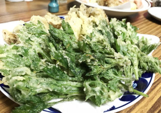 【レシピ／野草】新芽が美味しい！ヨモギの葉を摘んで天ぷらでいただきます！