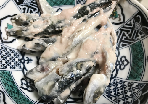 鴨川サバ料理レシピ2018