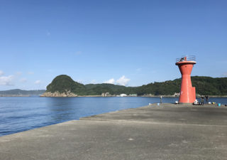 【釣り／下田】７月・旬のアジにイサキ。港に突き出る福浦堤防でチョイと釣り！