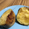 【家庭菜園/サツマイモ】スーパーで買ったサツマイモを植えたら美味しいお芋が採れました！
