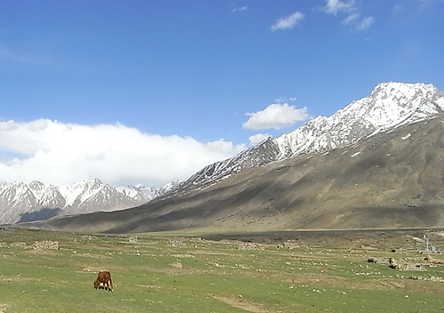 パキスタン北部山岳地帯の村パンダール