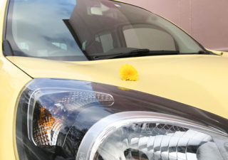 【カングー／ボディコート】新車を買ったらコレ。ガラスコートで痛みやすい塗装を保護。