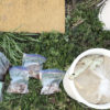 【堆肥／魚】魚の残飯どう処理します？米ヌカと混ぜて堆肥化してみます。