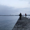 【釣り／富浦・館山・千倉】３月・アジやサヨリが釣れてる？では南房の港や堤防へ！