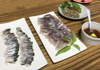 【釣り／内房】８月・早くもアジが釣れ始めた？小型でも嬉しい夏の味