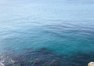 【釣り／勝浦・鴨川・千倉】サヨリは不発。アジはポツポツ。
