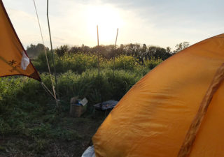 【家庭菜園／キャンプ】自家菜園でテントを張り一晩を過ごしてみました。