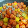 【ミニトマト／レシピ】鈴生りの夏野菜をミートソースにして美味しく大量消費！