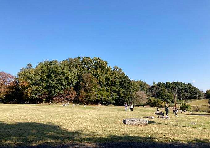 茨城県自然博物館／どんぐりの森、化石発掘／お弁当持参でピクニック