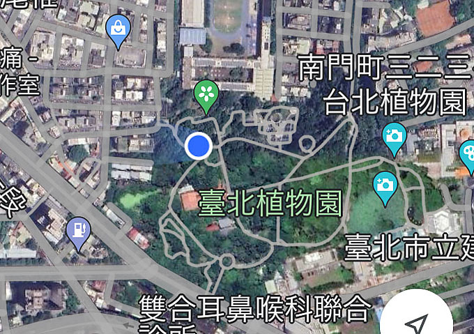 台北植物園／googlmap/台湾熱帯植物／ビカクシダ／コーデックス／塊根植物／日曜市
