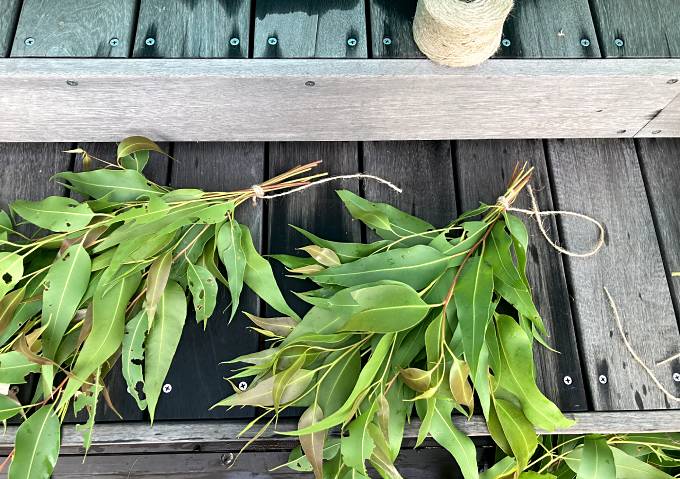 剪定したレモンユーカリの枝で虫除けリースを作る／作り方・方法について／シトロネラで蚊よけ／地植えオージープランツ