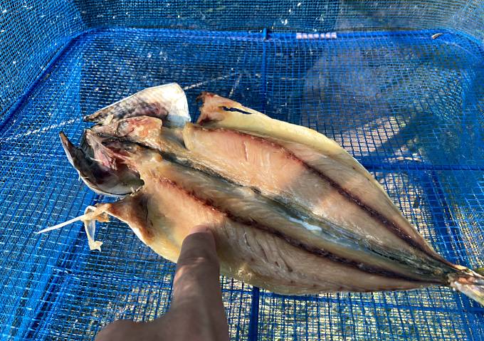 カヤックフィッシング／内房太刀魚釣り（タチウオ）