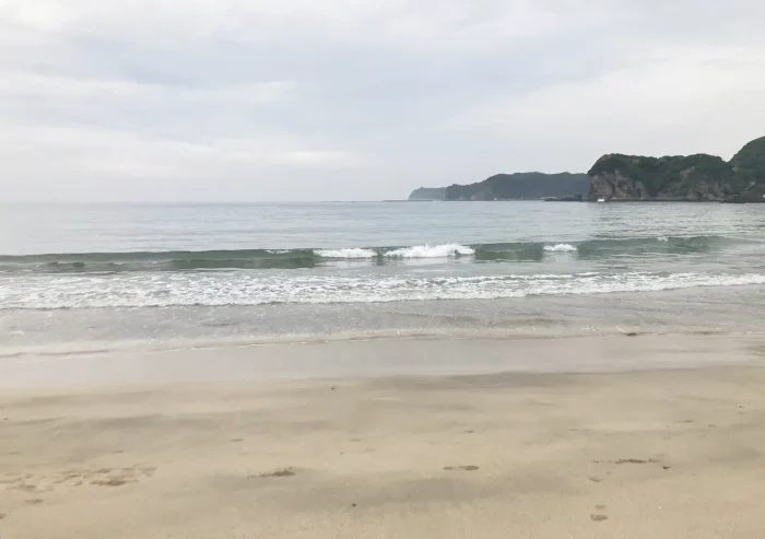 外房の磯遊びスポット／タイドプール（潮溜まり）で小魚を捕まえる＆観察／おすすめの綺麗な海岸／勝浦・鴨川