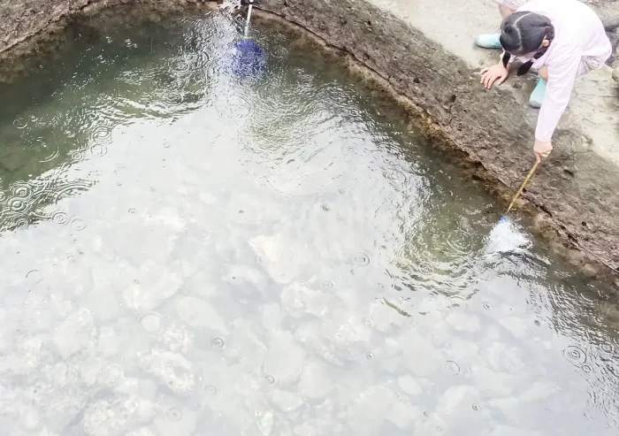 外房の磯遊びスポット／タイドプール（潮溜まり）で小魚を捕まえる＆観察／おすすめの綺麗な海岸／勝浦・鴨川