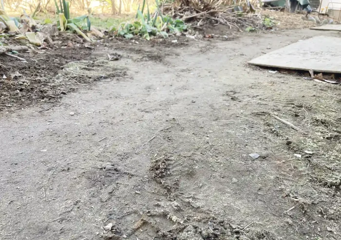 ウッドチップ販売(オールクリーン)/印西市_ホームセンター以外で無料配布・購入できる場所/ガーデニング庭いじり/土づくりと雑草対策を両立/土壌改良・発酵熱で冬も暖かい地温を上げる