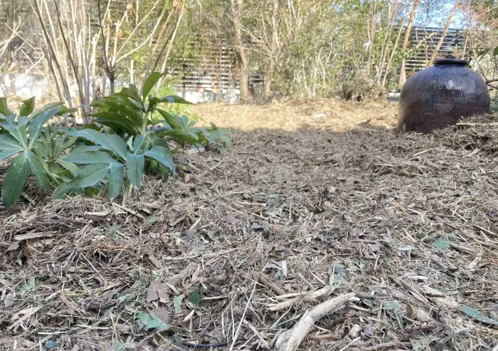 ウッドチップ販売(オールクリーン)/印西市_ホームセンター以外で無料配布・購入できる場所/ガーデニング庭いじり/土づくりと雑草対策を両立/土壌改良・発酵熱で冬も暖かい地温を上げる