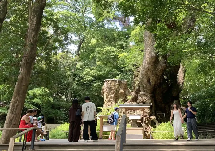 来宮神社／熱海のパワースポット／行き方（バス・タクシー・電車・徒歩）所要時間／夏場は暑いので徒歩は無理／お守り天国